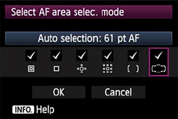 1DX AF area